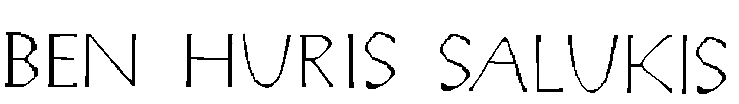 logo2