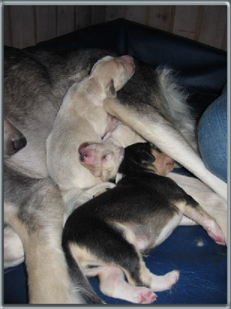 5 days old