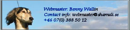 contacting webmaster